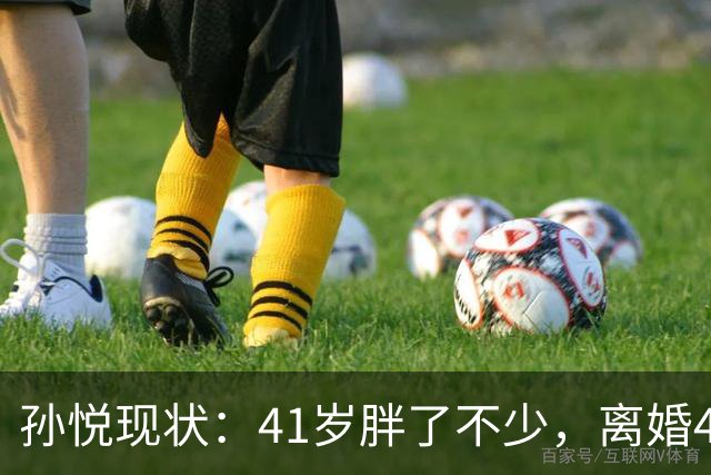 孙悦现状：41岁胖了不少，离婚4年还是单身，一双儿女越长越像他